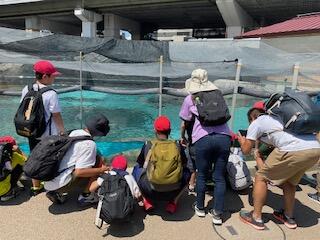 宿泊学習④(小5)最終