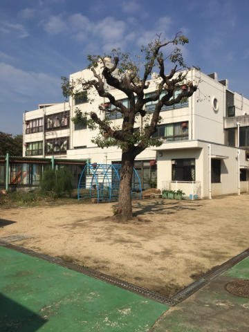 【きょういくニュース】特色ある学校づくり!