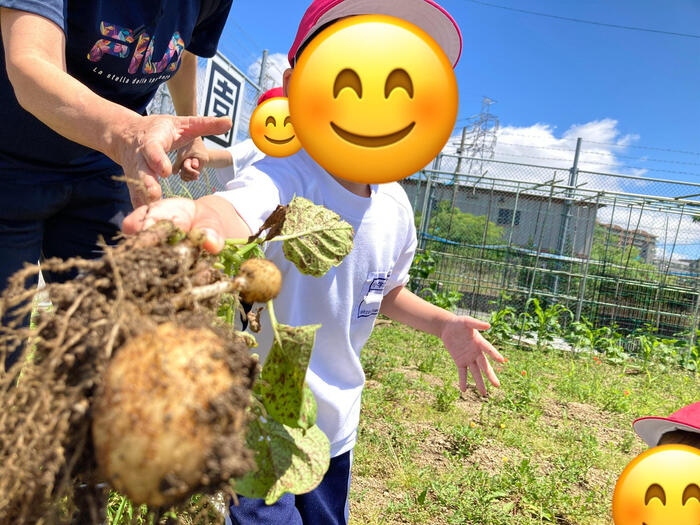 【小1】じゃがいも堀り