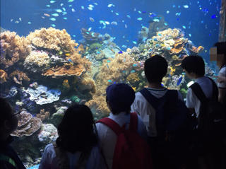 中学部 学年遠足