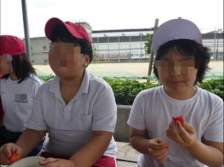 小学部「いちご狩り体験」