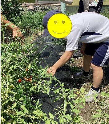 中学部1年 社会・理科 せいかつ
