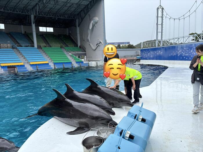 小学部6年生 修学旅行