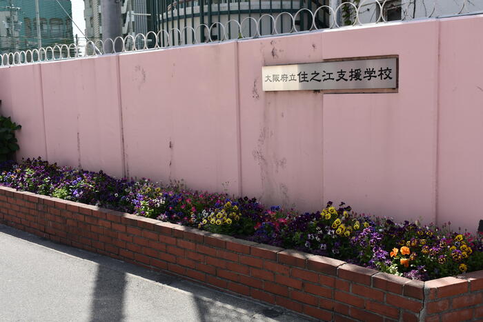 正門前の花壇