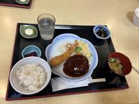 IMG_6308.jpeg