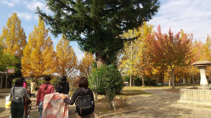 肢体部門中学部修学旅行５