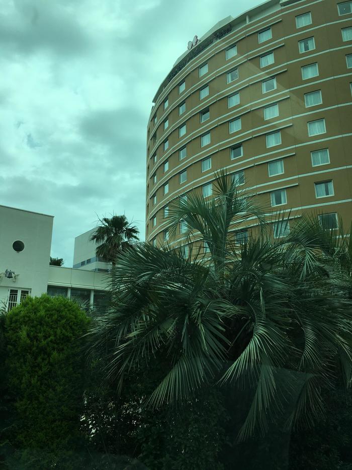 修学旅行11