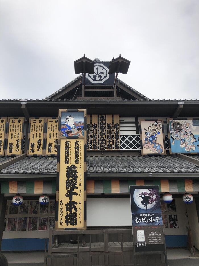 修学旅行（知的部門小学部６年）４