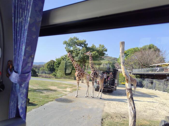 修学旅行⑨（知的障がい教育部門高等部）