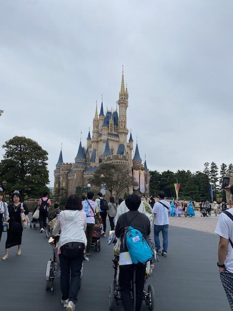 修学旅行⑨（肢体高等部）