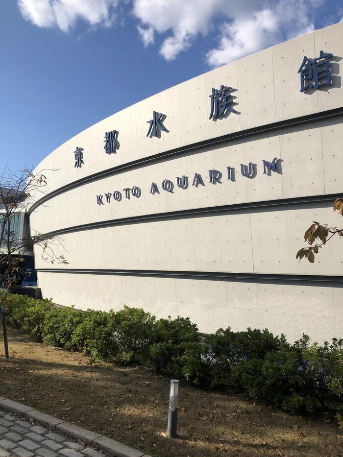 修学旅行（知的部門小学部６年）11