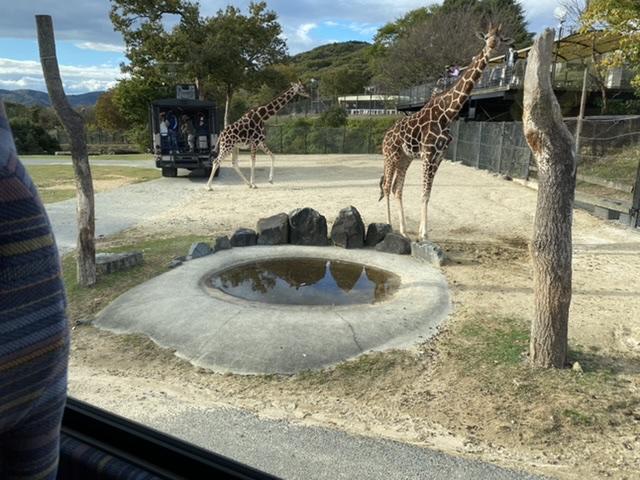 高等部3年生修学旅行3（知的部門）