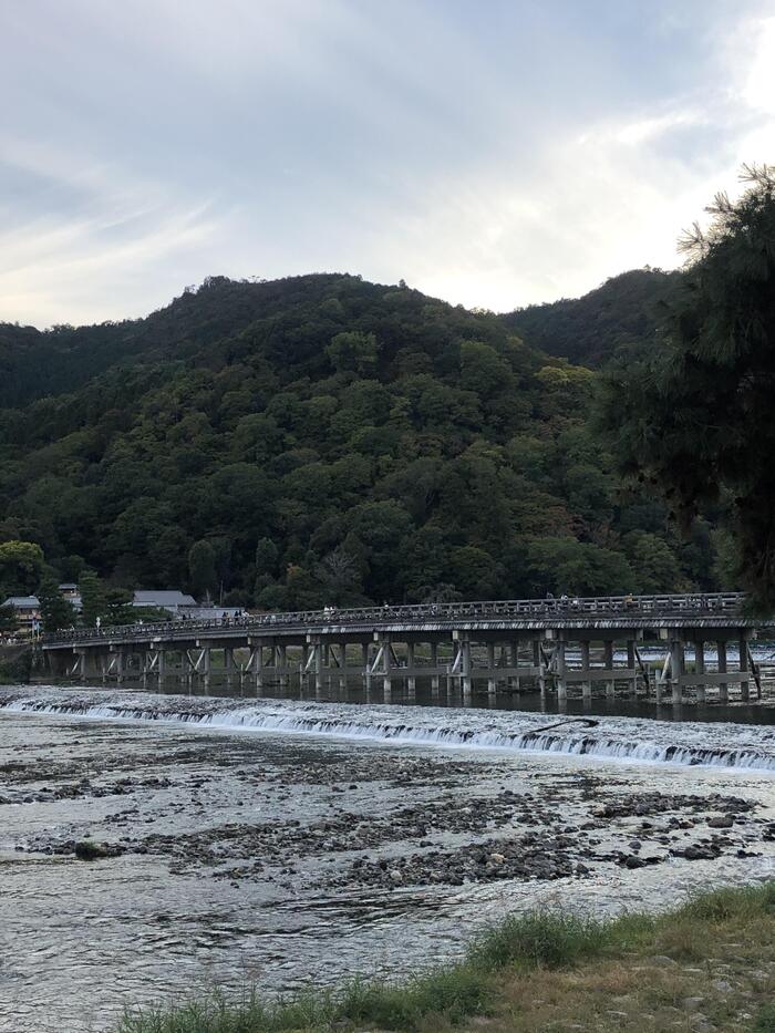 修学旅行（知的部門小学部６年）５