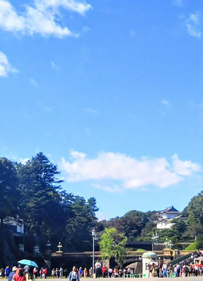肢体高等部修学旅行１１