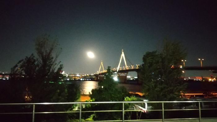 肢体小学部修学旅行３