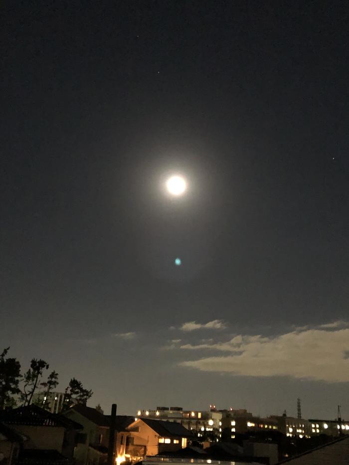 月が綺麗