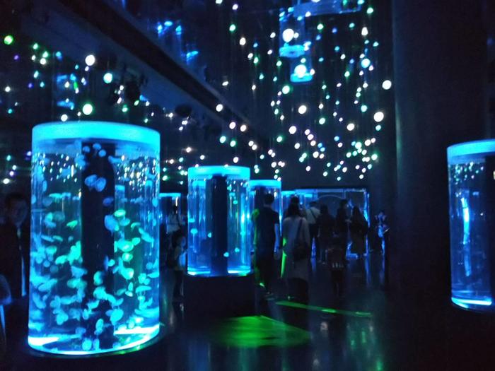 肢体高等部修学旅行２
