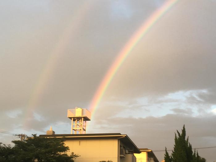きれいな虹が🌈１