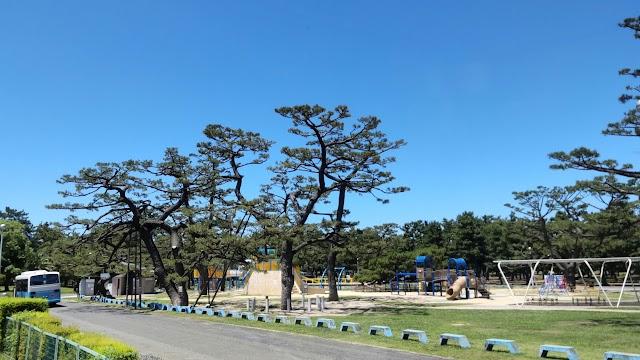 （肢体部門）高等部 宿泊学習１