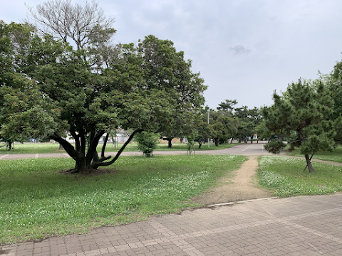 知的部門中学部 宿泊学習２