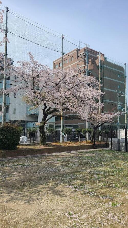 入学式２.jpg
