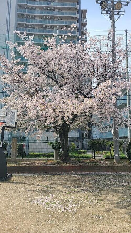 入学式３.jpg