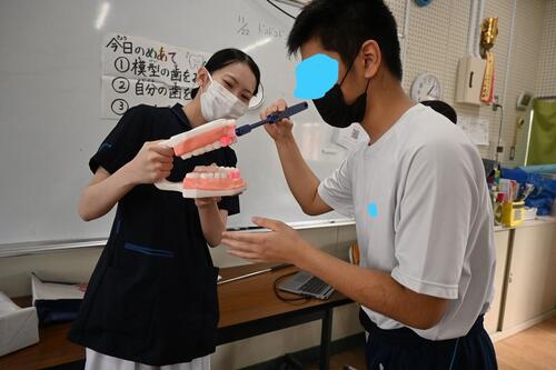 歯２.jpg