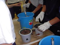 DSCN4188.JPG