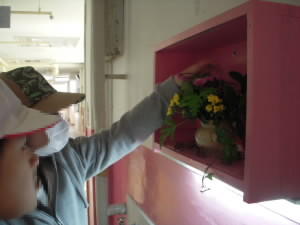 DSCN4930.JPG