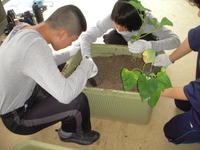 DSCN4174.JPG