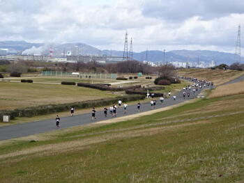DSC02646.JPG