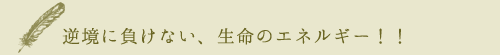 con_tit_02.png
