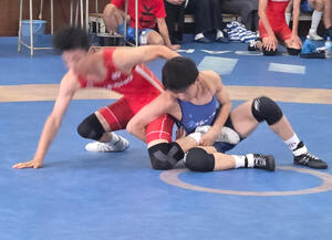 5f12ddea-12cf-4294-bad4-bde61ebbd41a.jpg