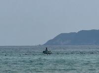 IMG_6887.jpeg