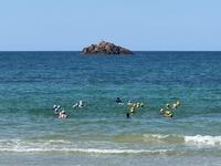 IMG_6827.jpeg