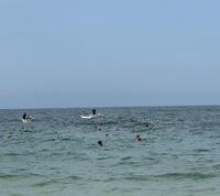 IMG_6873.jpeg