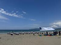 IMG_6865.jpeg
