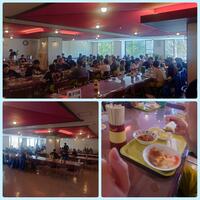 IMG_3295.jpeg
