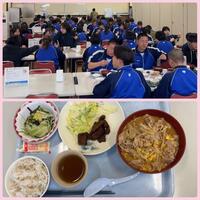IMG_3519.jpeg