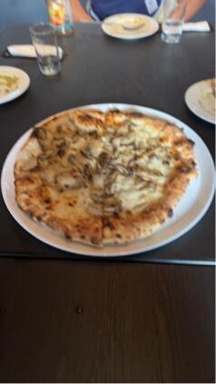 IMG_2260.jpeg