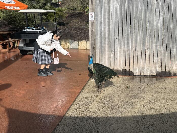 【姉妹校訪問記⑲】登校４日め～バディと一緒に動物園へ遠足～