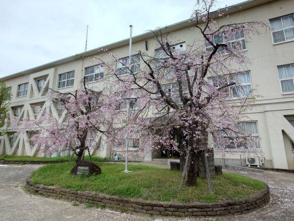 第1号 明日より新学期
