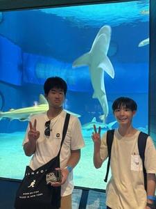 IMG_3178.jpeg