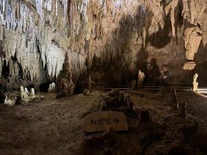 IMG_2907.jpeg