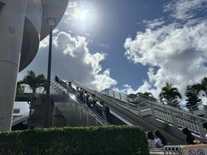 IMG_3193.jpeg