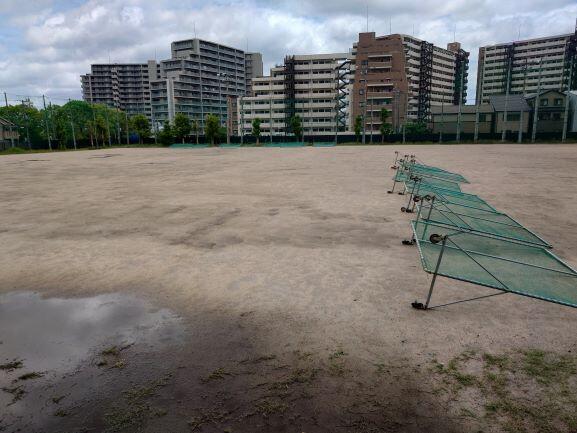 第18号 台風一過