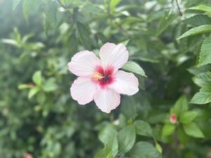 IMG_7035.JPG