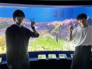IMG_3153.jpeg
