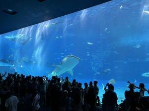 IMG_3186.jpeg