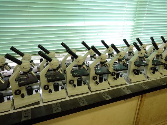 第24号「生物基礎」